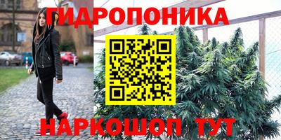 тгк Славгород