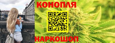 тгк Славгород