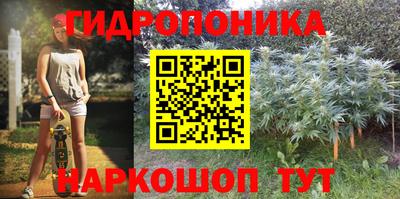 экстази Сланцы