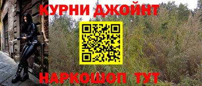тгк Славгород