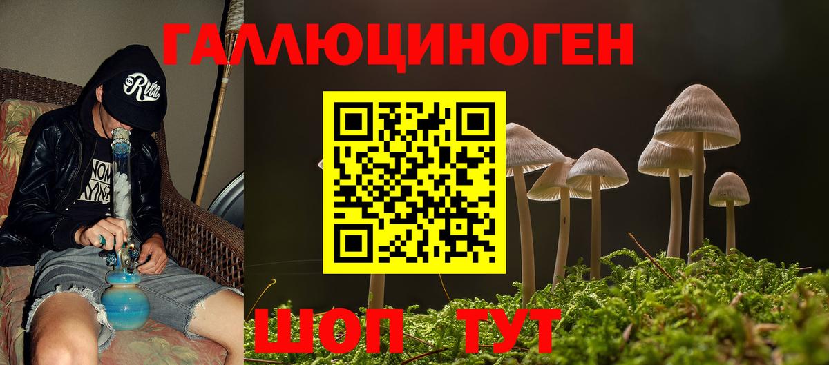 Саранск  Галлюциногенные грибы Psilocybine cubensis  Вход с VPN 